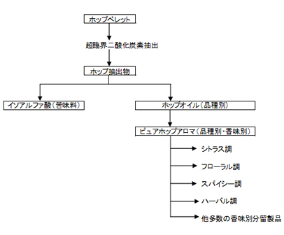 香辛料（スパイス）抽出物